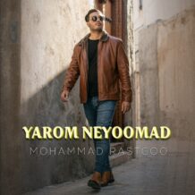 آهنگ جدید محمد راستگو به نام یارم نیومد
